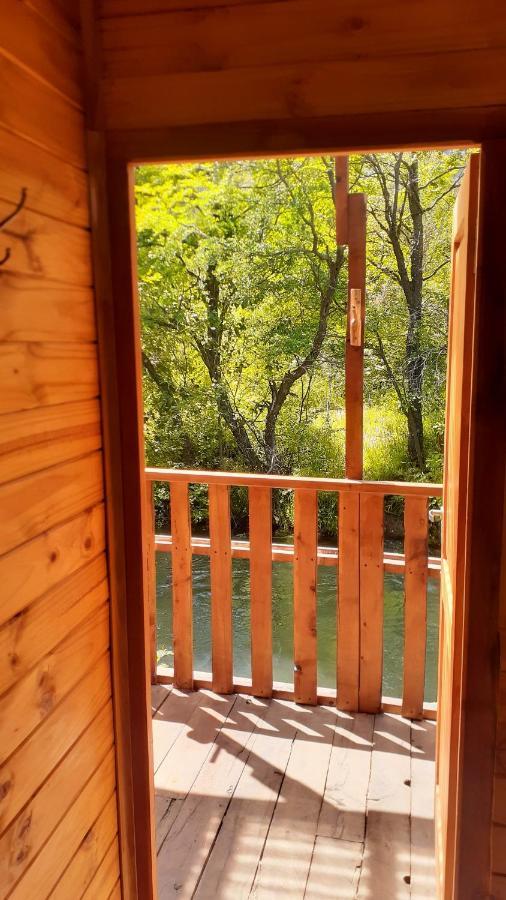 Coihues * San Carlos de Bariloche